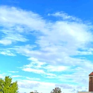 Meet your Posher, Lizzie